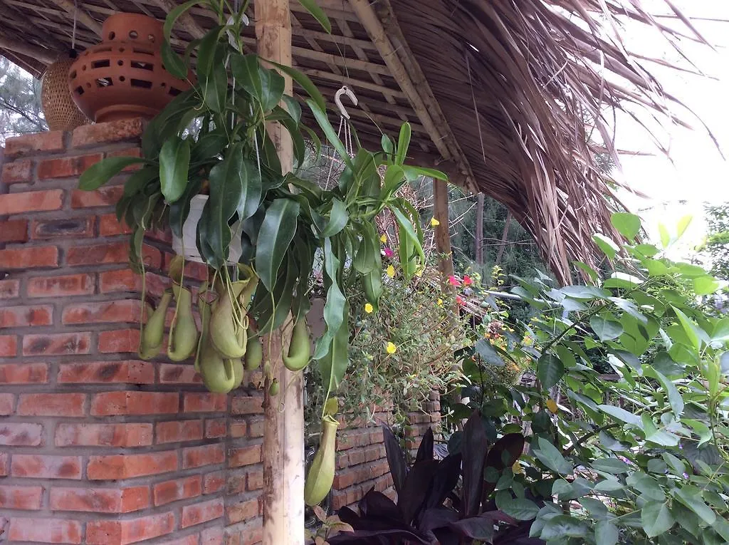 An Bang Beach Lan'S Villa Hội An Séjour chez l'habitant